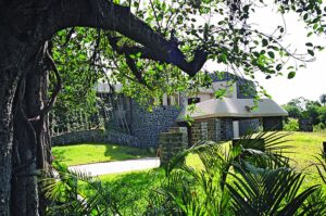 major-work-Research-3a-opt